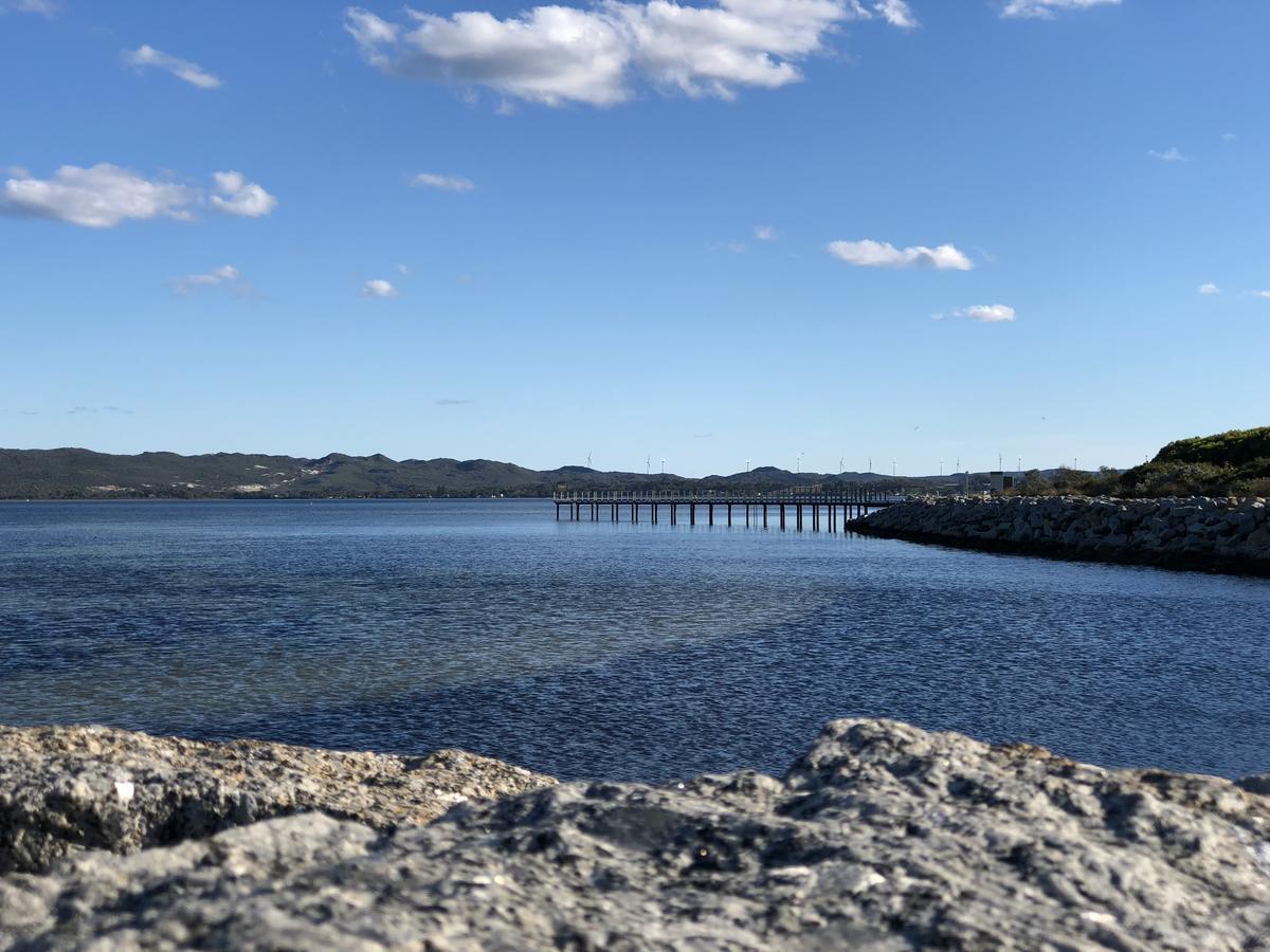 Albany Foreshore Guest House Exteriér fotografie